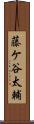 藤ケ谷太輔 Scroll