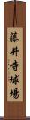 藤井寺球場 Scroll
