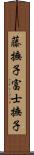 藤撫子 Scroll