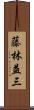 藤林益三 Scroll