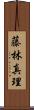 藤林真理 Scroll