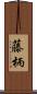 藤柄 Scroll