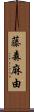 藤森麻由 Scroll