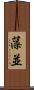 藻並 Scroll