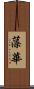 藻華 Scroll