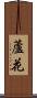 蘆花 Scroll