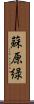 蘇原緑 Scroll