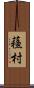 蘓村 Scroll