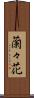 蘭々花 Scroll