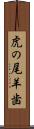 虎の尾羊歯 Scroll