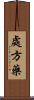 處方藥 Scroll