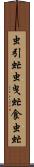 虫引虻 Scroll