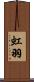 虹羽 Scroll