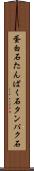 蛋白石 Scroll