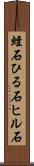 蛭石 Scroll