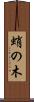蛸の木 Scroll
