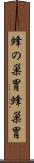 蜂の巣胃 Scroll
