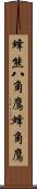 蜂熊;八角鷹;蜂角鷹 Scroll