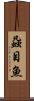 蝨目魚 Scroll
