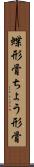 蝶形骨 Scroll