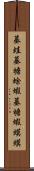 蟇蛙 Scroll