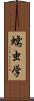 蠕虫学 Scroll