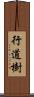 行道樹 Scroll