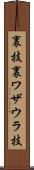 裏技 Scroll