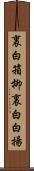 裏白箱柳 Scroll