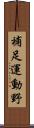 補足運動野 Scroll