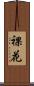 裸花 Scroll