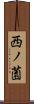 西ノ薗 Scroll