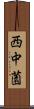 西中薗 Scroll