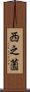 西之薗 Scroll