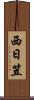 西日笠 Scroll