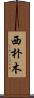 西朴木 Scroll
