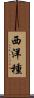 西洋種 Scroll