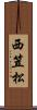 西笠松 Scroll