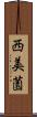 西美薗 Scroll