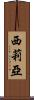 Cilia Scroll