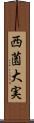 西薗大実 Scroll