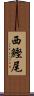西鰹尾 Scroll