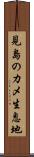 見島のカメ生息地 Scroll