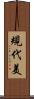 規代美 Scroll