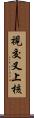 視交叉上核 Scroll