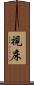 視床 Scroll
