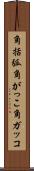 角括弧 Scroll