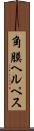 角膜ヘルペス Scroll