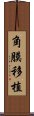 角膜移植 Scroll