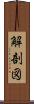 解剖図 Scroll